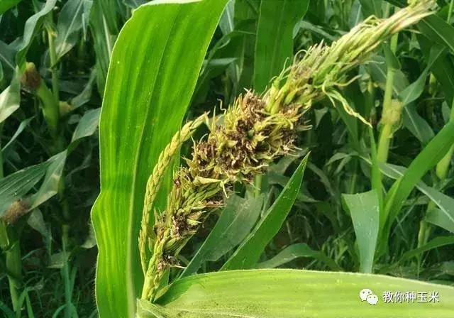 山西保水开采技术:守护矿区水资源的智慧解决方案,让采矿更可持续更安心 山西保水开采技术:守护矿区水资源的智慧解决方案,让采矿更可持续更安心