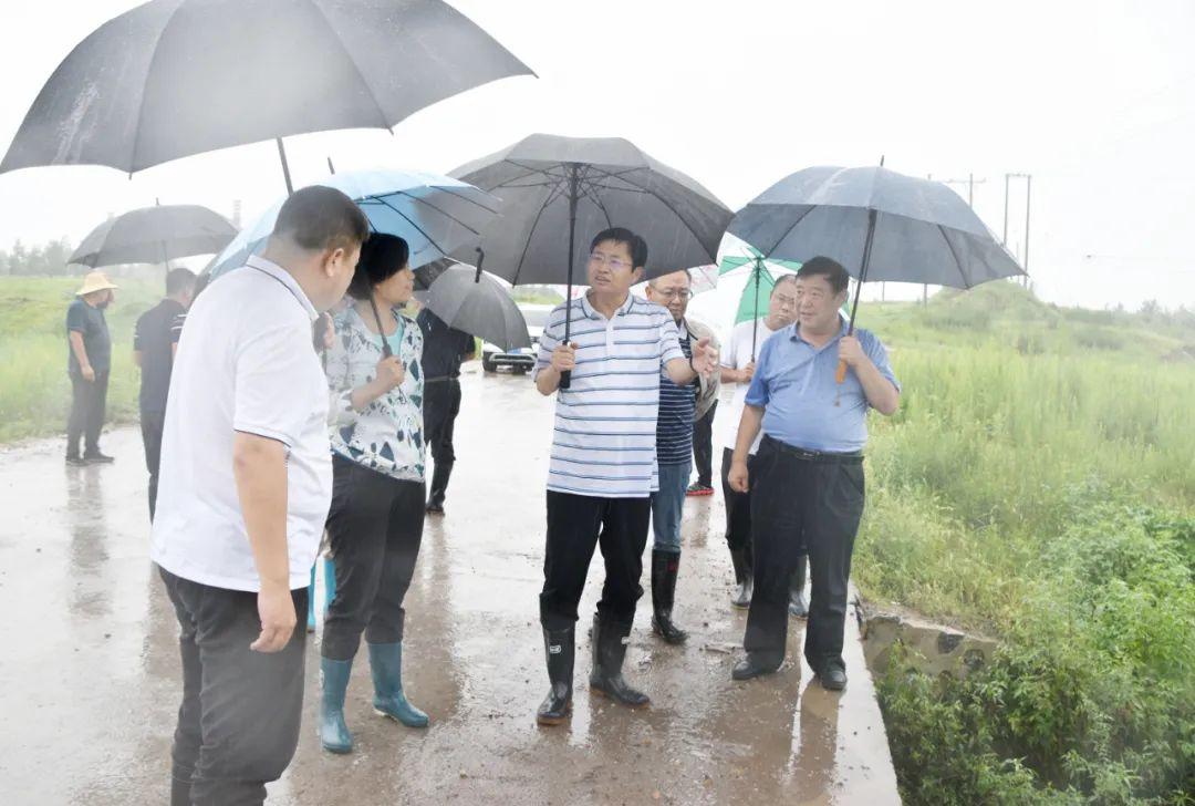 地质数字技术：地下水数值模拟全解析，精准预测地下水流动态，解决水资源管理难题