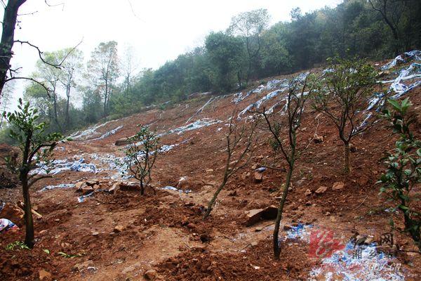 地质数字技术:隐患点标注 - 智能识别地质灾害,守护生命财产安全 地质数字技术:隐患点标注 - 智能识别地质灾害,守护生命财产安全