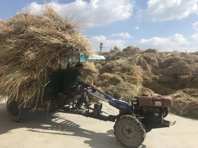 低碳技术:矸石路基材料如何变废为宝,轻松打造坚固环保道路 低碳技术:矸石路基材料如何变废为宝,轻松打造坚固环保道路