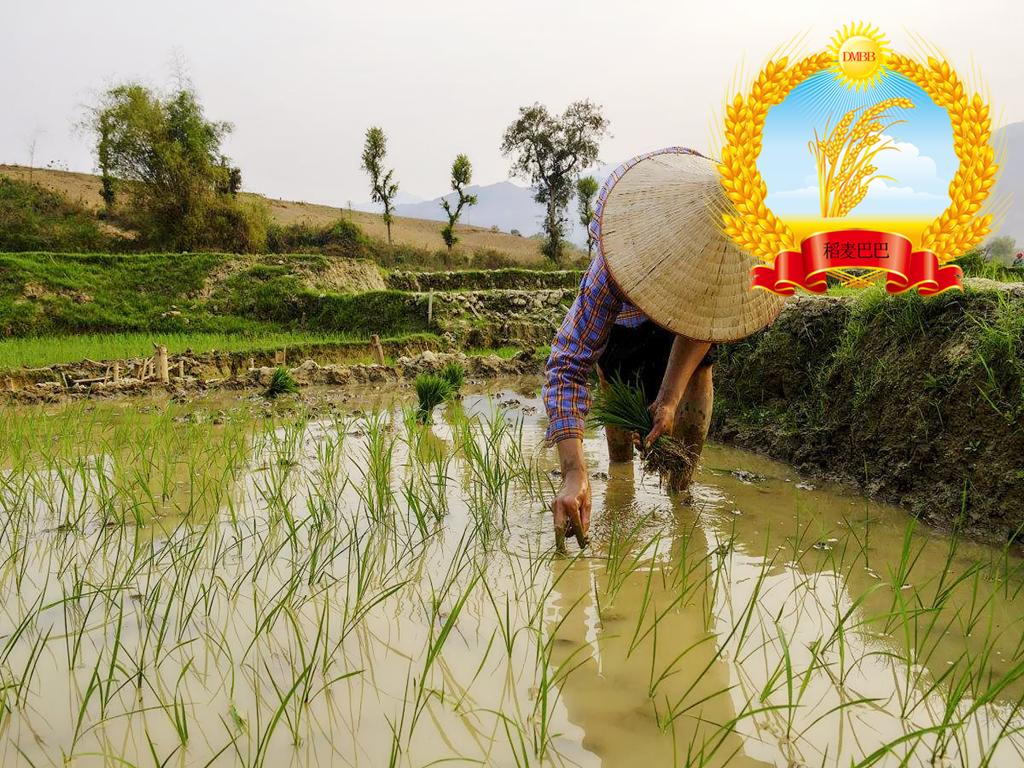 地质数字技术:透气性分析如何精准预测地下气体流动,提升能源开采效率与工程安全 地质数字技术:透气性分析如何精准预测地下气体流动,提升能源开采效率与工程安全