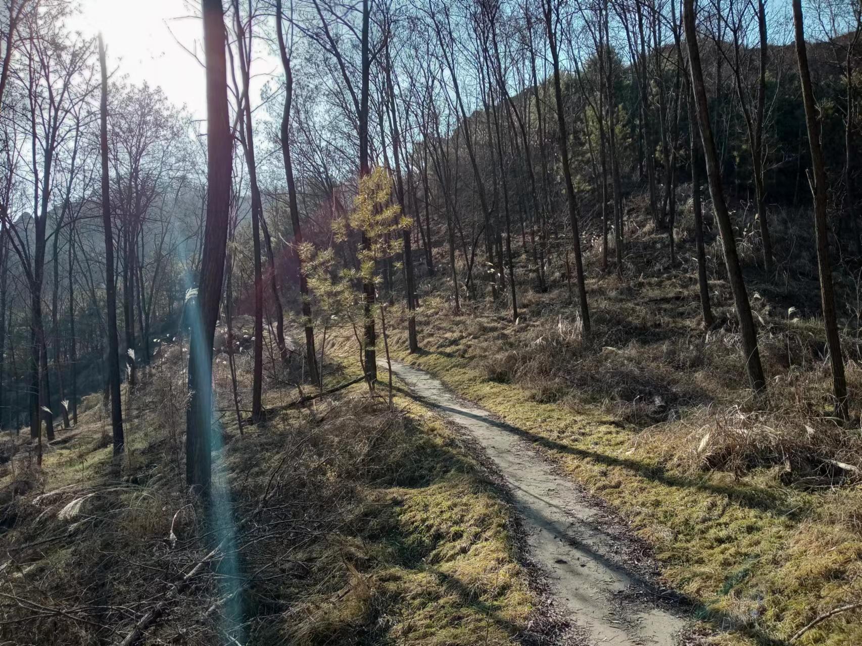 地质数字技术：数据平台搭建全攻略，高效解决地质行业数据管理难题