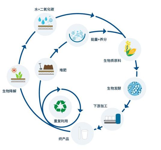 低碳技术：生物质能转化 - 变废为宝的清洁能源解决方案