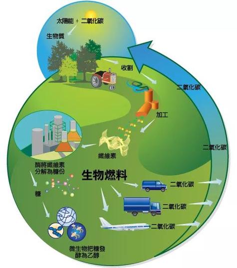 低碳技术：生物质能转化 - 变废为宝的清洁能源解决方案