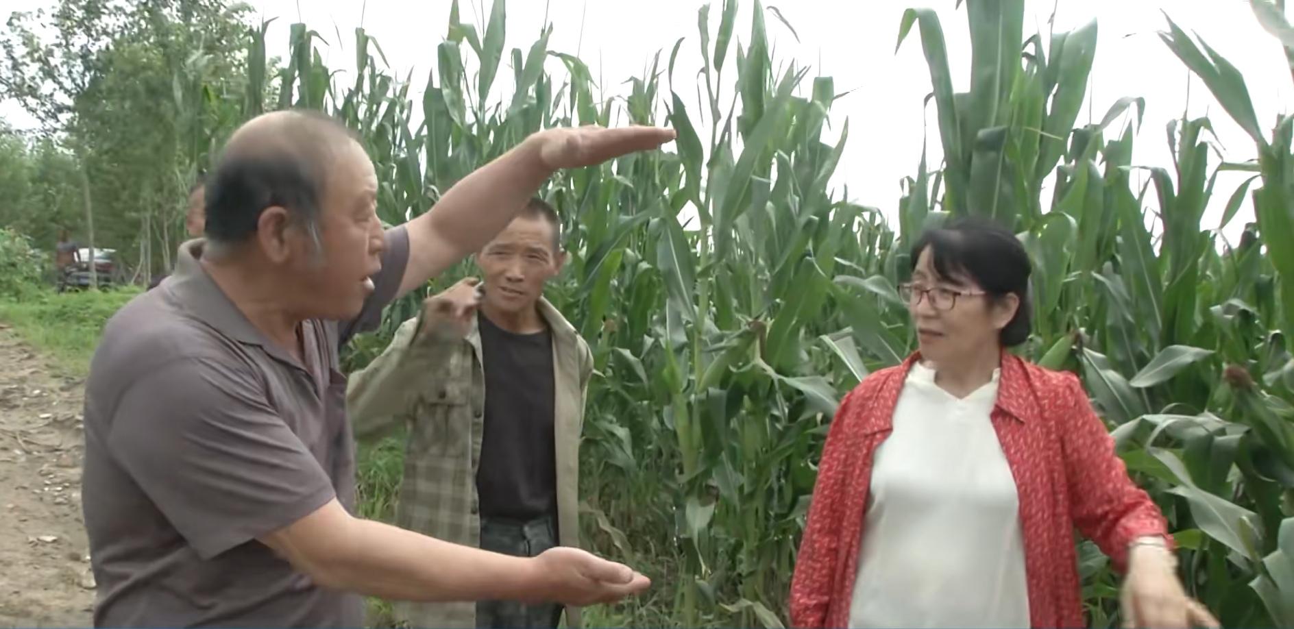 矿山知识库:水泵故障排查全攻略,快速解决水泵问题保障矿山安全 矿山知识库:水泵故障排查全攻略,快速解决水泵问题保障矿山安全