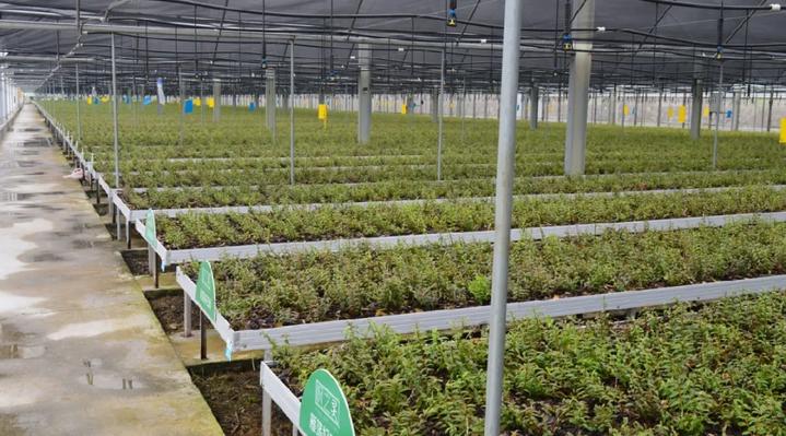 数字化技术如何优化抽检数据管理:提升效率与准确性,告别繁琐流程 数字化技术如何优化抽检数据管理:提升效率与准确性,告别繁琐流程