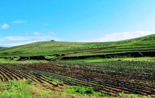 数字化技术:证书数据管理如何解决证书易伪造、难验证、流转效率低下的问题 数字化技术:证书数据管理如何解决证书易伪造、难验证、流转效率低下的问题